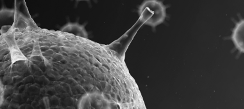 3D model of HIV cell